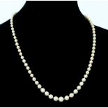 A single row of graduated cultured pearls with an 18ct gold snap,