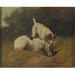Arthur Batt (British 1846-1911)/Terriers/signed/oil on canvas, 14.5cm x 17.