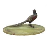 An Austrian cold painted bronze figure of a pheasant, on an onyx dished base,