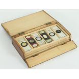 Twenty polarised slides in five trays in a fitted case,