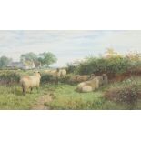 George Shalders/Sheep Grazing/signed and dated 1864/watercolour,