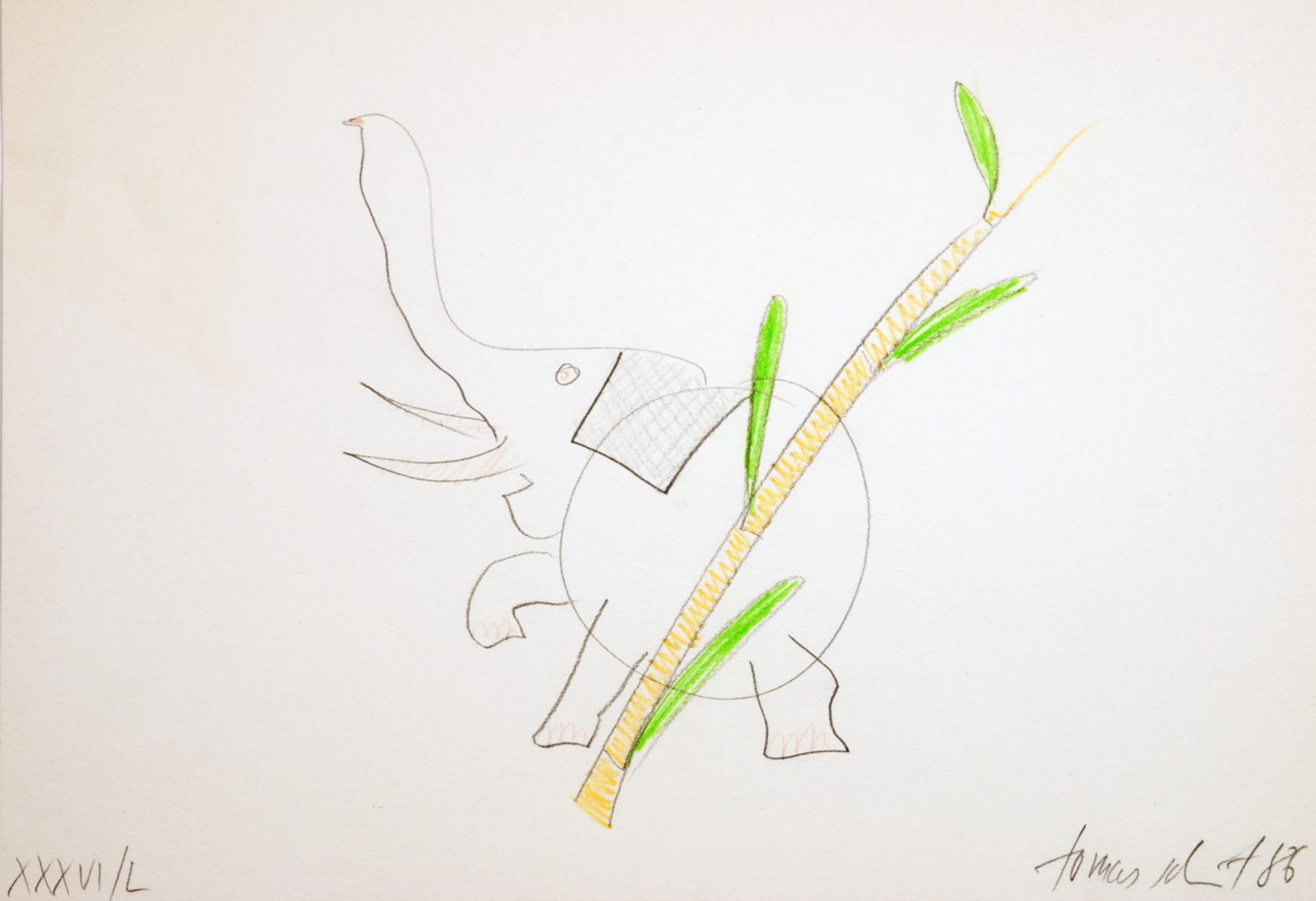 Tomas Schmit. Bambuselefant. Zeichnung. Farbige Kreide und Bleistift. 1986. 21,6 : 30,5 cm.