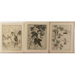 (Lot of 5) Manfred Niedeck (Danish/America), Assorted Bird Etchings, each pencil signed lower right,