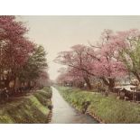 Kusakabe Kimbei (Japanese, 1841-1934), Cherry Blossom Trees, circa 1880, hand-colored albumen