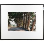 Ron Niebrugge (American, 20th century), Coastal Trail Through Fort Mason, color c-print, signed