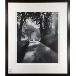 Reid Yalom (American, 20th century), The Road, Gold Country, California, gelatin silver print,