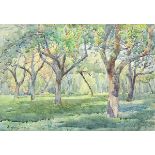 Gunnar Widforss (American/Swedish, 1879-1934), Shaded Grove, 1923, watercolor, signed and dated