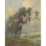 Percy Gray (American, 1869-1952), Eucalyptus Grove, watercolor, signed lower left, sight: 9.75"h x
