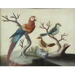 (lot of 4) European School (19th century), Assorted Scenes with Exotic Birds, Butterflies and