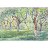 Gunnar Widforss (American/Swedish, 1879-1934), Shaded Grove, 1923, watercolor, signed and dated