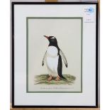 British School (20th century), Penguin, 1982, watercolor and gouache on paper, signed