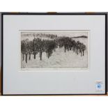 Laura Morton (American, 20th century), "Changes: Trees," 1999, etching, pencil signed and dated