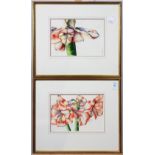 (lot of 8) Amerilis Blooming, set of eight watercolor depicting the sequence of blooming flowers,