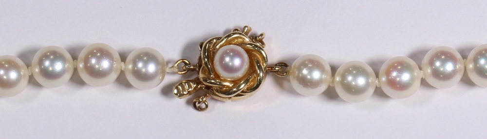 Cultured pearl and 14k yellow gold necklace composed of (122), 6.5 mm cultured pearls, completed - Image 2 of 2