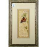 Stella Stevens (American, 20th century), Butterfly, watercolor and gouache, pencil signed lower