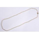 Cultured pearl and 14k yellow gold necklace composed of (122), 6.5 mm cultured pearls, completed