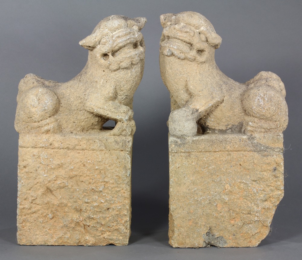 Pair of Chinese sculptures of fu-lions, each standing a rectangular plinth, 16"h