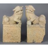 Pair of Chinese sculptures of fu-lions, each standing a rectangular plinth, 16"h