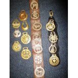 An assortment of antique horse brasses