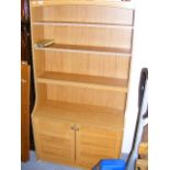 A Modern Bookcase