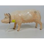 A Porcelain Border Fine Arts Pig