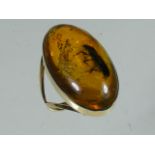 A Ladies Antique 14ct Gold & Amber Ring With Insect