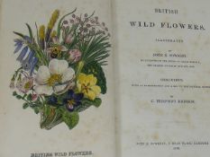 British Wild Flowers - John E. Sowerby 1860