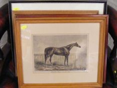 Five Framed Prints Of Equine Interest