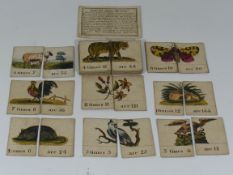 A Rare Set Of Georgian Educational Playing Cards