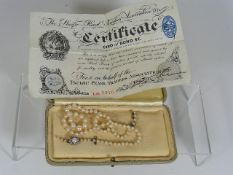 An Early 20thC. Set Of Ladies Pearls With 9ct Gold