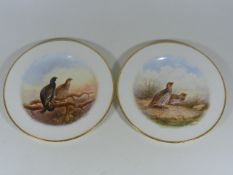 Two Antique Royal Crown Derby Plates With Hand Pai