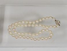 A Set Of Ladies Pearls With 9ct Gold Clasp