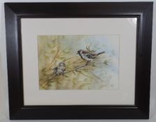 Four Framed Watercolours Of Bird Life Signed John