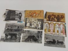 A Quantity Of Early 20thC. & Vintage Postcards