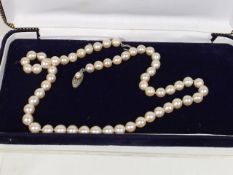 A Set Of Cultured Pearls With Silver Clasp
