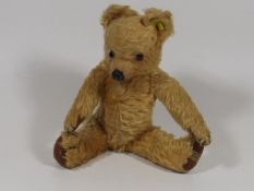 An Early 20thC. Teddy Bear