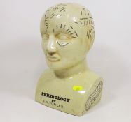 A Ceramic Phrenology Bust