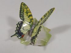 Hutschenreuther Porcelain Swallowtail Butterfly