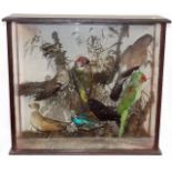A C.1900 Taxidermied Cased Bird Group Including Wo