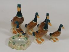 A Family Of Beswick Ducks & One Beswick Duck Trink