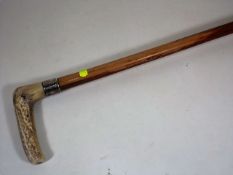 A Horn Handled Walking Cane With Silver Collar