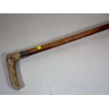 A Horn Handled Walking Cane With Silver Collar