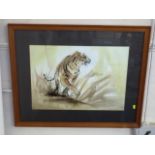 David John Sweetingham Watercolour Of Tiger