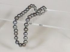 A Set Of Large Silver South Sea Pearls