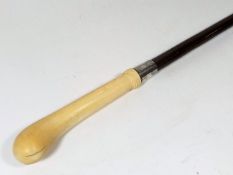 An Antique Gents Walking Cane With Ivory Top & Sil