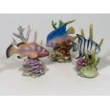 Three Signed Royal Worcester Porcelain Fish, Some