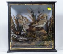 A 19thC. Cased Taxidermied Bird Group