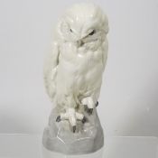 A German Porcelain Model Of An Owl On Rocky Plinth
