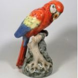 A Royal Dux Porcelain Model Of Parrot Type Bird 33