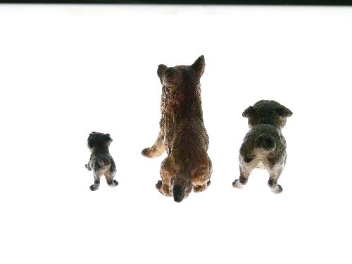 Two 19th Century Austrian miniature cold painted bronze figures of Pugs, 2cm and 4cm long together - Image 3 of 7